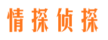 理县市侦探调查公司